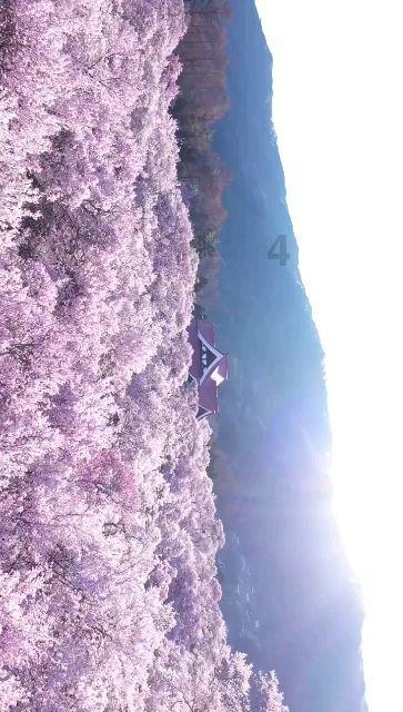 战锤：全面战争