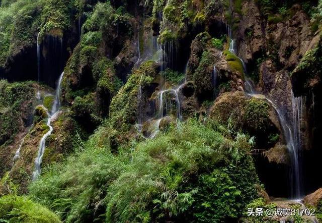 史莱克七怪