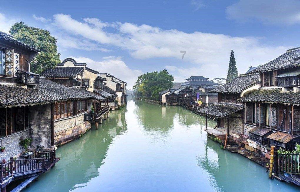中医学对草龟的价值
